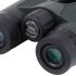 NBN02-1042 b